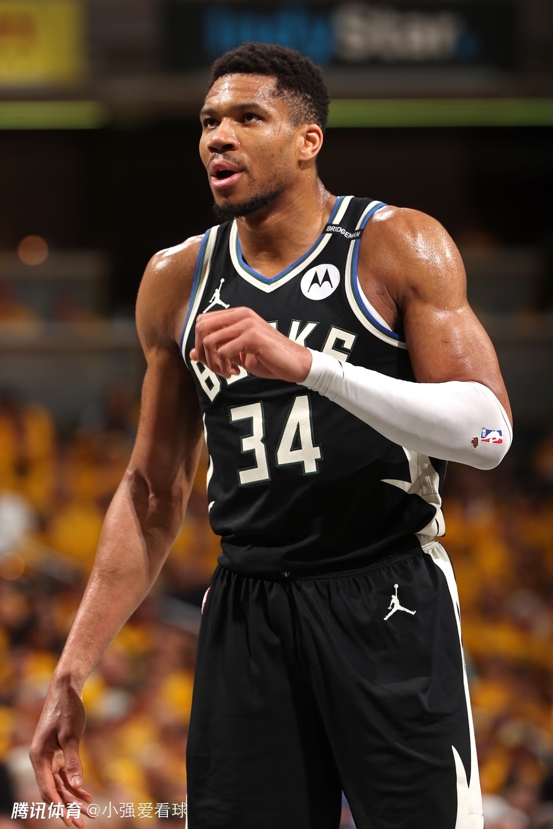 今晚密尔沃基雄鹿官宣签约——NBA季后赛节点到来，话题不断，年轻球员得到机会的简单介绍